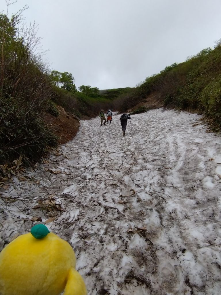 FromKibitan's tweet photo. 【キビさんぽ】檜枝岐村にある燧ケ岳（ひうちがたけ）に登ったよ。雪がまだ残っていたよ！
#福島県　#Fukushima #Japan #キビタン #福島県公式キャラクター
#燧ケ岳 #御池 #檜枝岐村 https://t.co/v1KuUSc71c