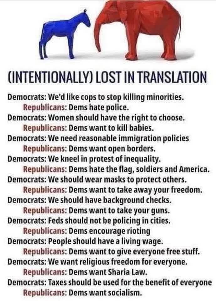Tee Bee tweet media