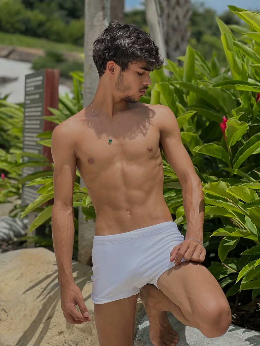 GayFunIntenfnf's tweet photo. Personally when I see an LGBT 👇) https://t.co/1GhSjUb3zi