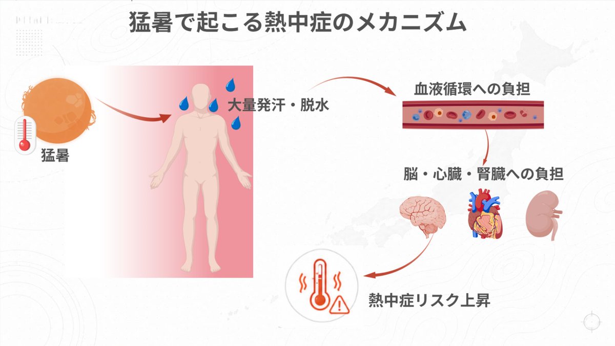 BioGDP's tweet photo. 猛暑が続く季節、熱中症リスクにも注意が必要です🥵。

暑熱による体への負担は、「気温が高い」だけではありません。
発汗・脱水による体液量の低下が、血液循環への負担につながります。

BioGDPなら、複雑なメカニズムも伝わる図として整理できます🔬

#メカニズム図 #熱中症 #健康 https://t.co/h6SnaCL21O