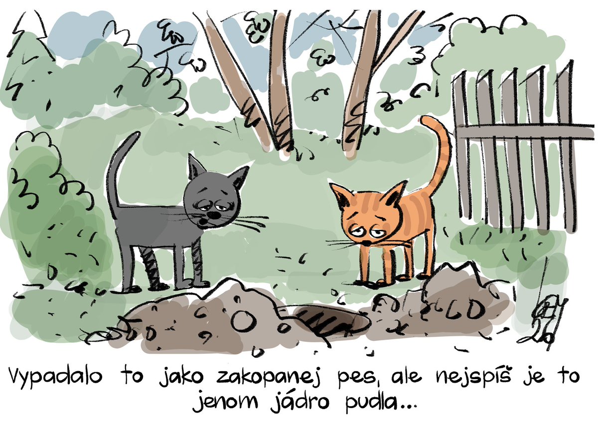 MiroslavKemel's tweet photo. https://t.co/tzuCFYRVKP