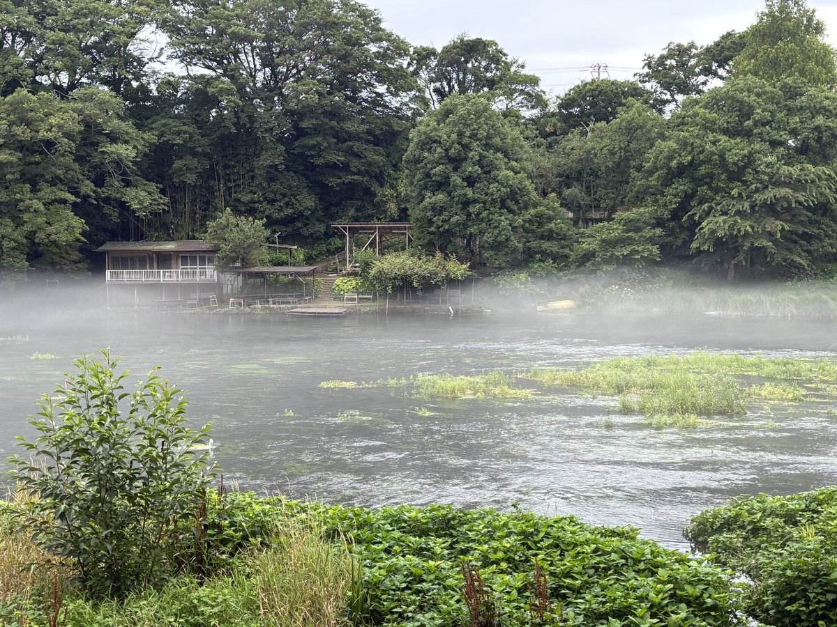 kinokokt's tweet photo. 久しぶりの柿田川湧水

平日だから空いていてのんびり歩けた。水が湧いてて流れてるって気持ちがいいわ。 https://t.co/L4oBpx3Ggz