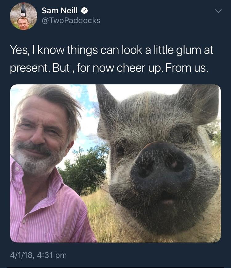 thescottbarber's tweet photo. Sam Neill has sadly passed on. But never forget: https://t.co/wbXyGuwHYH