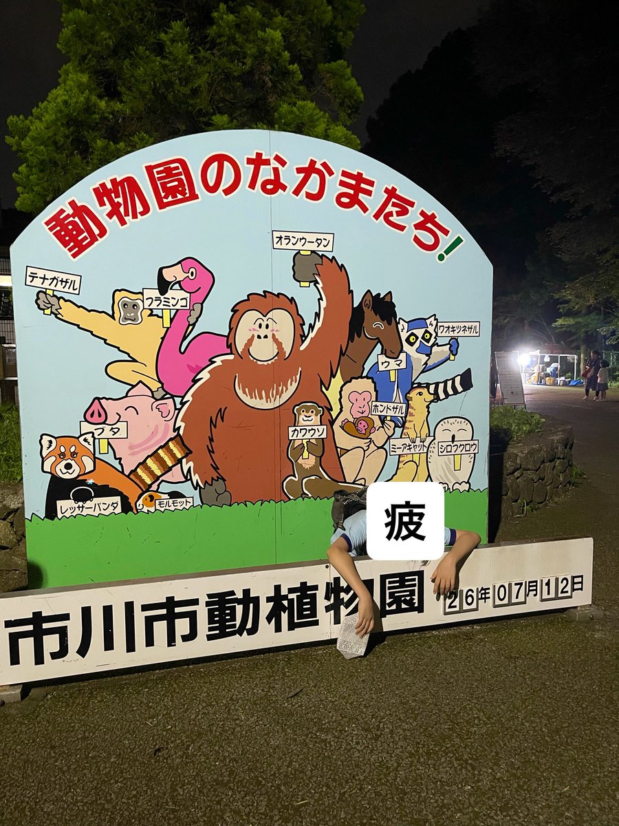 matudozumi's tweet photo. 日曜日は午前中は上2人の付き添いで午後は末っ子と市川植物園。それぞれ1万歩歩いて、計2万歩。さすがに疲れた💦
末っ子もこんな感じ笑 https://t.co/DPOQtDlN4a