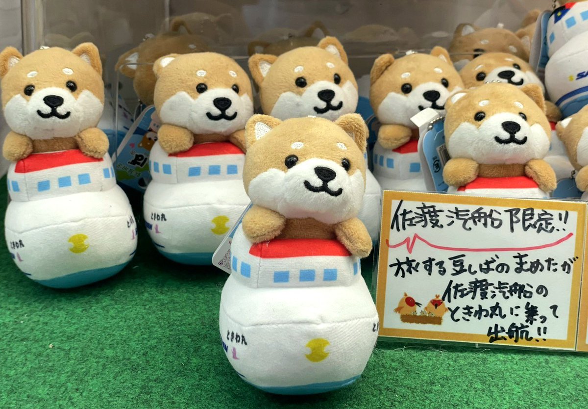 sadokisensyouji's tweet photo. こんにちは✨
両津港ターミナル売店です😌❤️

ぎゅうぎゅうに並んで
みんな出航待ち⛴️💙
ときわ丸に乗った｢旅するマメしば｣が
売店に仲間入り🐶♡

‼️佐渡汽船グループ限定‼️
お気に入りのまめたを見つけてください♪

#佐渡汽船　#旅するマメしば　#コラボ https://t.co/QmTgoUyjHC