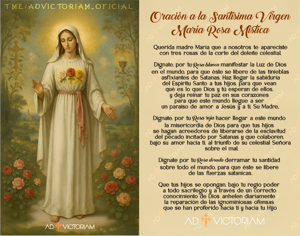 Ad_Victoriam_OF's tweet photo. 🌹13 DE JULIO, LA VIRGEN MARÍA, ROSA MÍSTICA https://t.co/HTo9AUfiD5