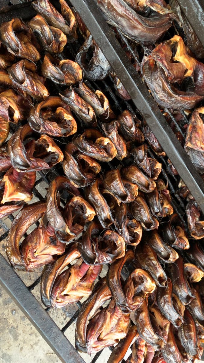 Kaffy 😍 Dried Catfish Plug 🐋🐋 tweet media