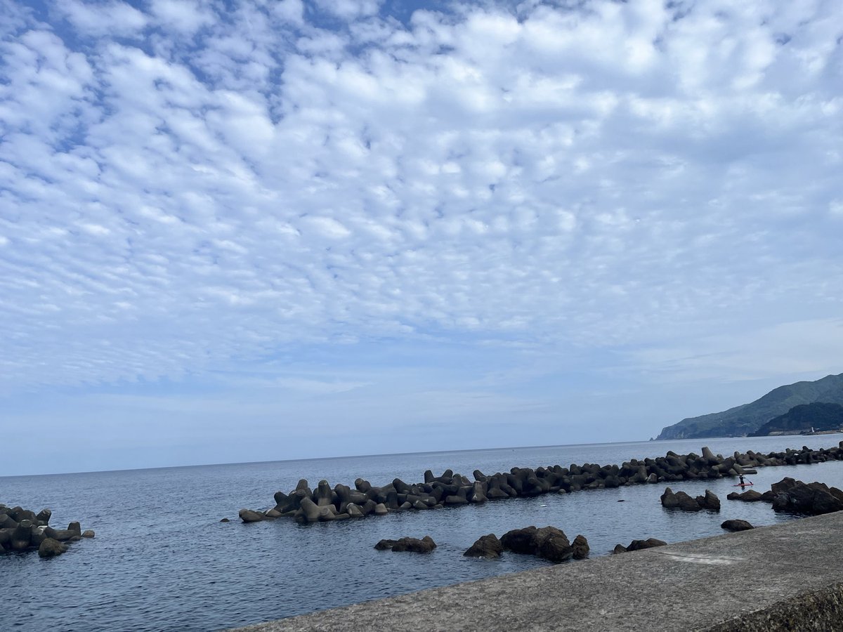 シェルも綺麗なブルーだね〜。 週末自分が見た海よりも綺麗