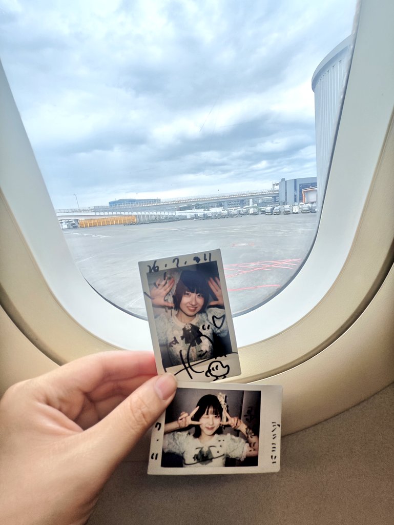 HimitsuNoJimmy's tweet photo. もう離陸した～早すぎ🥹 また次に会おうね～🛫🐧💚🐨💜🫶🏻💖✨🌟
#ハル便り  #カワナとマーチ
#比賀ハル #川菜光
@Kastella_haru @Kastella_hikaru https://t.co/pjILRAcwWx