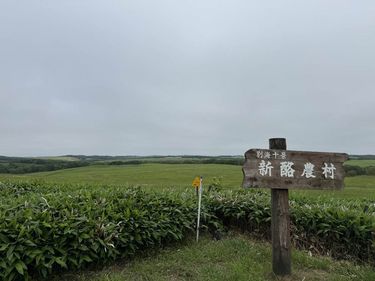 asaZXT1575's tweet photo. 新酪農村
途中出会った鹿の群れ
角が立派 https://t.co/RHmmo2aBWo