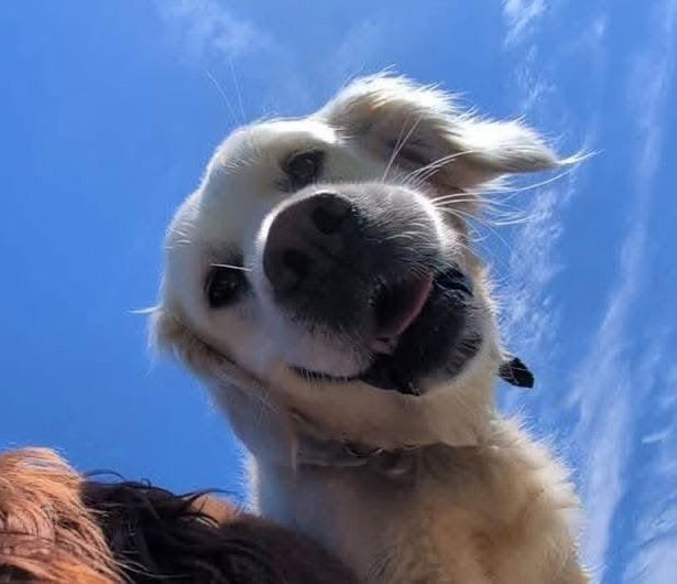 rubytubees's tweet photo. good night to him only. the rest of u can have nightmares https://t.co/34oOYpMLOe