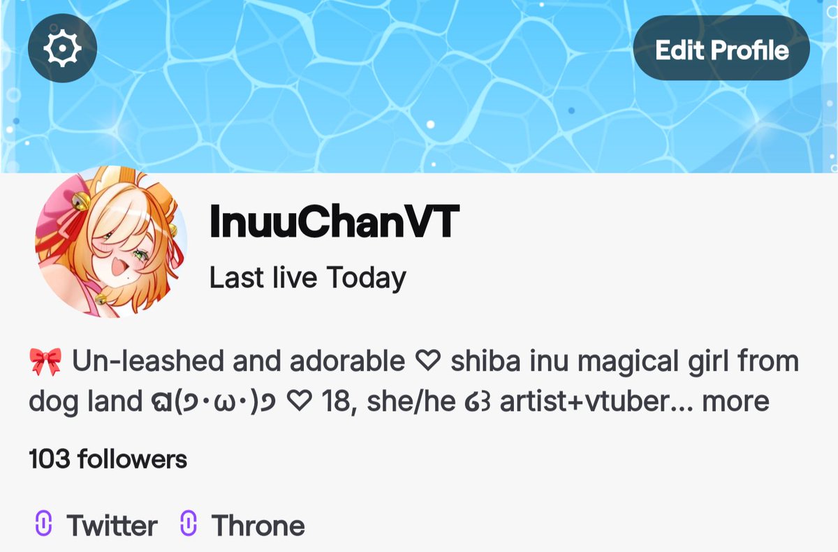 Shiba chan 🎀໒꒱ Doggy Vtuber tweet media