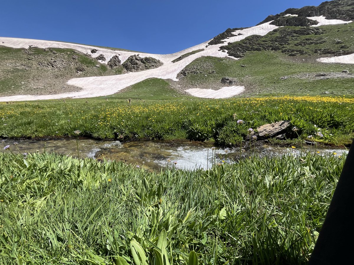 sozdarzin's tweet photo. Warê şêran 
Feraşîn ⛰️☀️ https://t.co/z6ZkXtd03m