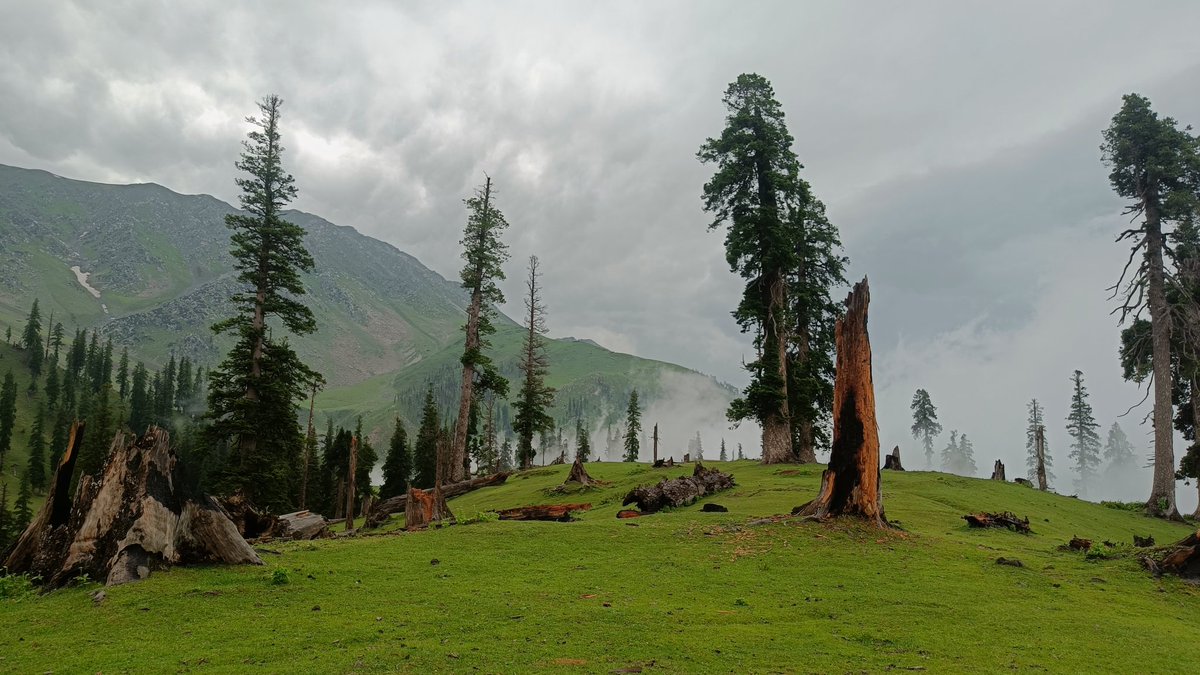 Merajnaik5's tweet photo. #Mahuvalley my cool escape
#travelling
@Discovery https://t.co/eF2g10gcFD