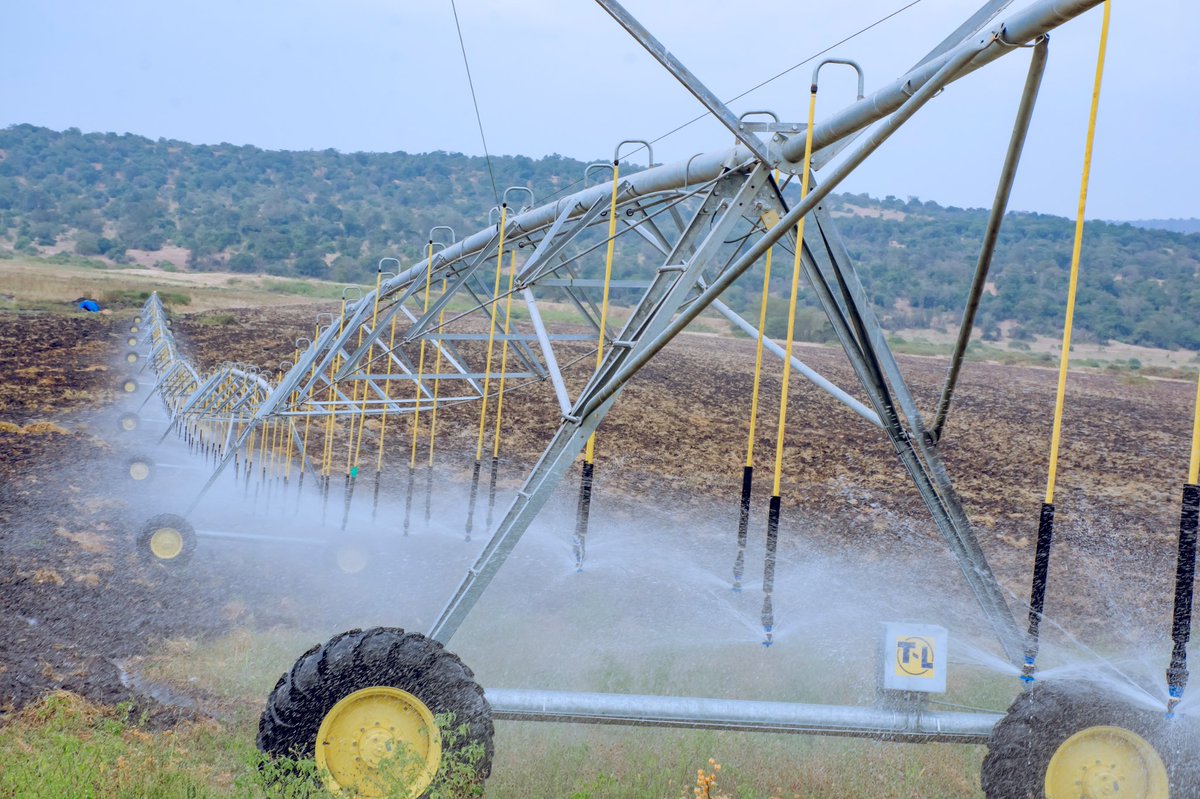 DamkRadiotv's tweet photo. Ba rwiyemezamirimo batandatu batangiye gukorera mu Cyanya cyahariwe ubuhinzi cya Gabiro (Gabiro Agribusiness Hub) giherereye mu Murenge wa Rwimiyaga n’uwa karangazi mu Karere ka Nyagatare,@SamKabera https://t.co/40QNVL7ehc
