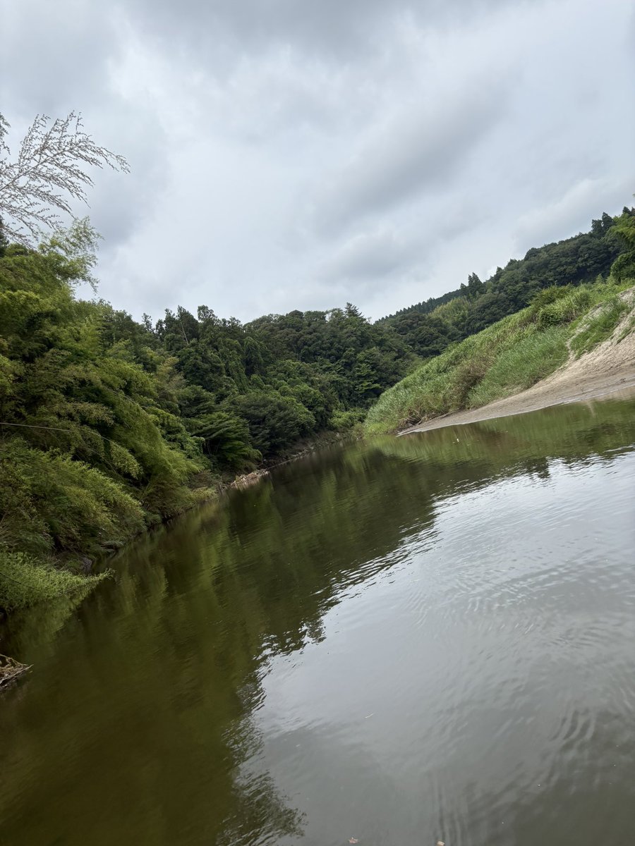 koshi5123's tweet photo. 昨日はサイトの練習で高滝へ🎣。
いろいろ勉強になったけど、いろいろやらかしたなぁ😅。
締めのやらかしはデカかった😭。
#高滝湖 https://t.co/cI2qBB1hKy