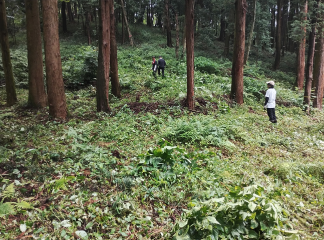 u_biodiversity's tweet photo. 戸祭山緑地で協働の一歩🍃
自然保護に取り組む市民団体と事業者をつなぐ「うつのみや生きものつながり活性化事業」
７月(公財)ｸﾞﾘｰﾝﾄﾗｽﾄうつのみやとﾄﾖﾀｳｯﾄﾞﾕｰﾎｰﾑ(株)が連携し緑地保全活動を行いました✨自然を守る取組の輪を一緒に広げてみませんか。
https://t.co/S07g08wWqB https://t.co/RE6kJ3vchS