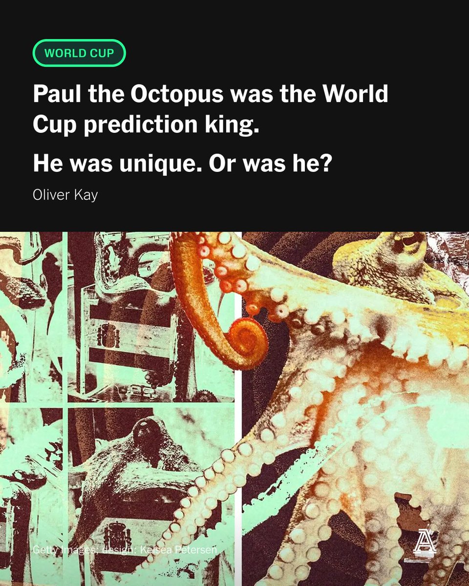TheAthleticFC's tweet photo. Paul predicted eight out of eight games right at the 2010 World Cup.

He received a book deal.

He was subject to “threats” from Argentina.

A two-meter-tall monument to Paul was created after his passing.

The strangest part? Paul was an octopus.

@OliverKay spoke to those who knew him best — this is Paul’s story.

🔗 https://t.co/YrfSr5FdBe