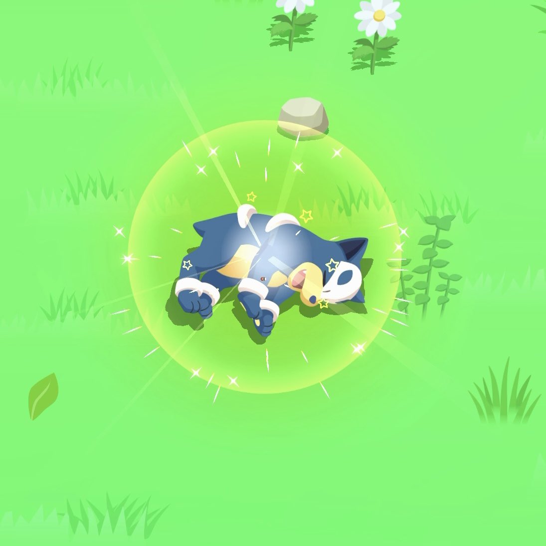 FlexMuscleASMR's tweet photo. MY SHINIES FROM THE WEEK ✨ #PokemonSleep3rd https://t.co/ox1kHRj0Iy