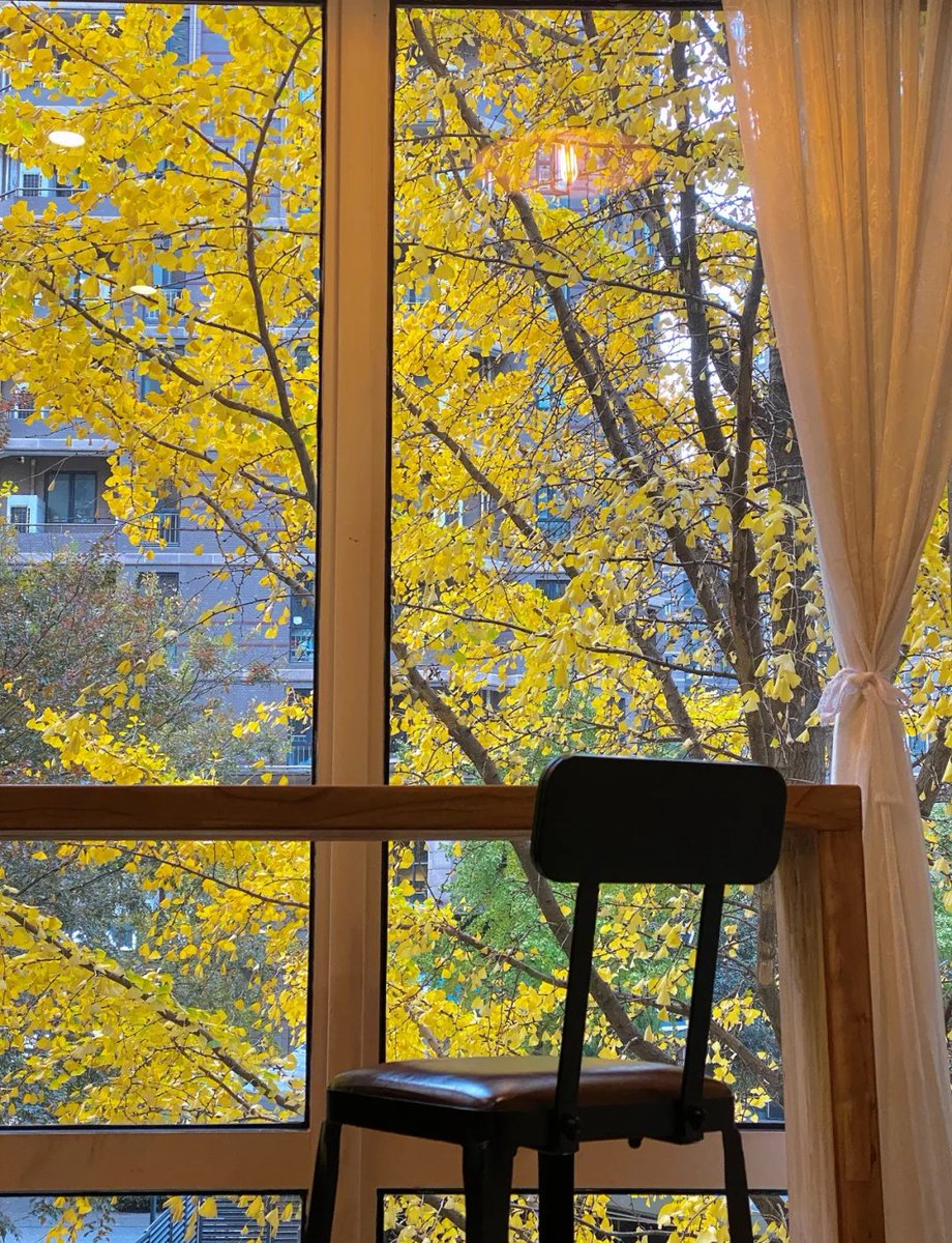 Alexandra_Brad's tweet photo. The first autumn breeze is here—cool, crisp, and perfect for sipping warm coffee while watching golden leaves dance down. https://t.co/tITQgrUE82