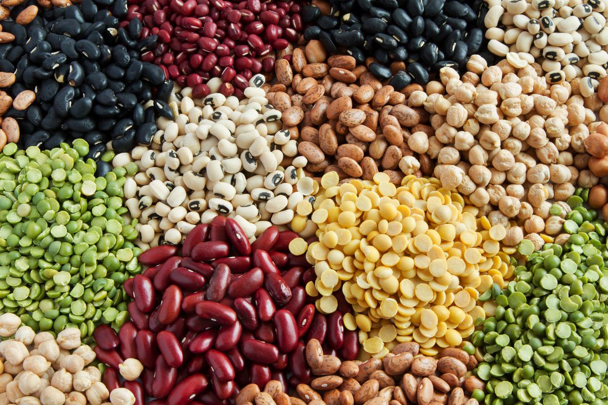 DedayoRoots's tweet photo. Magnesium is required for over 300 enzymatic reactions in the human body.

It is the primary mineral depleted by chronic stress.

Every cortisol spike flushes magnesium out through the urine.

Magnesium deficiency causes:
- Anxiety and irritability
- Poor sleep (magnesium activates GABA, the calming neurotransmitter)
- Muscle cramps
- Constipation
- Heart palpitations
- Worsened PMS

An estimated 80% of people in industrialized diets are magnesium deficient.

Best food sources: dark leafy greens, pumpkin seeds (Egusi), legumes, whole grains.

Your grandmother's vegetable soup delivered magnesium daily.

Ultra-processed food delivers almost none.

They didn't just take your culture. They took your minerals.