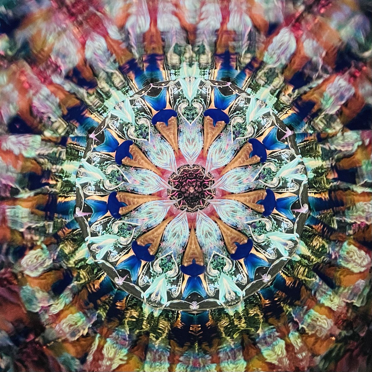 ☆新入荷☆ Peggy & Steve Kittelson『Prairie Dancer Kaleidoscope
