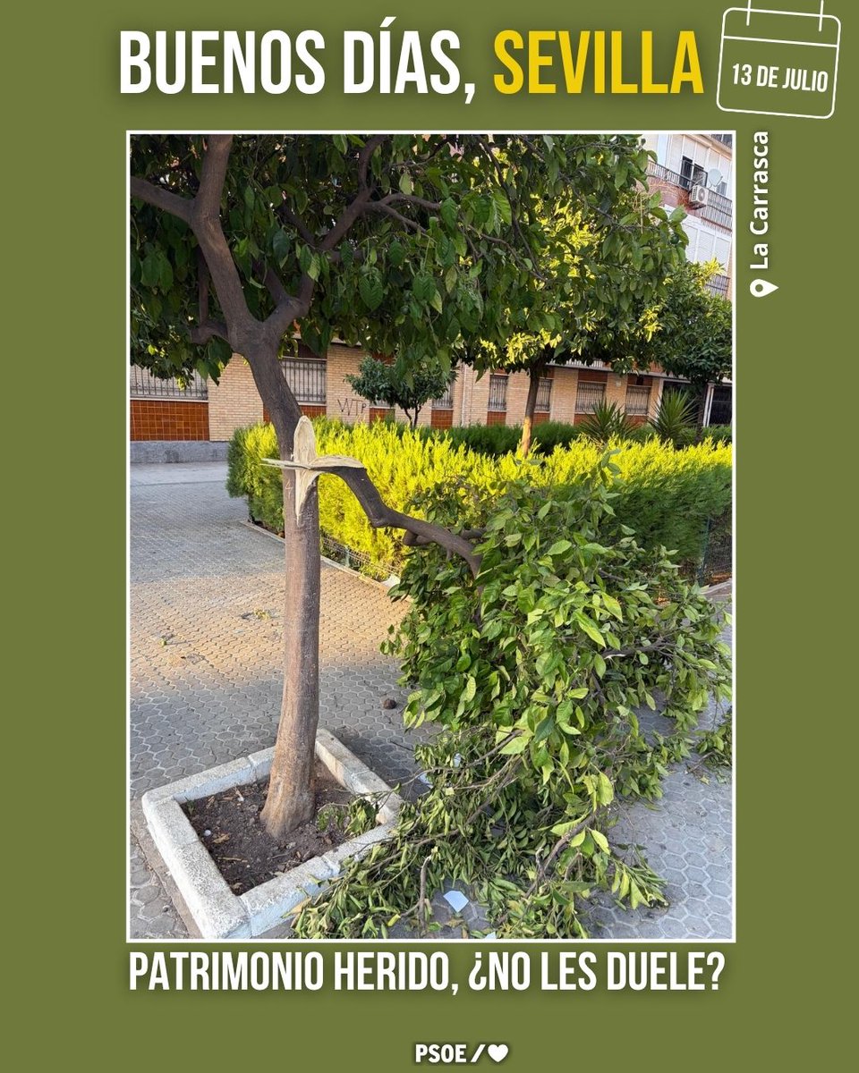 PSOEAytoSevilla's tweet photo. Barrios rotos y heridos... 😳

#SevillaEnMarchaAtrás https://t.co/1VGPpaqImM