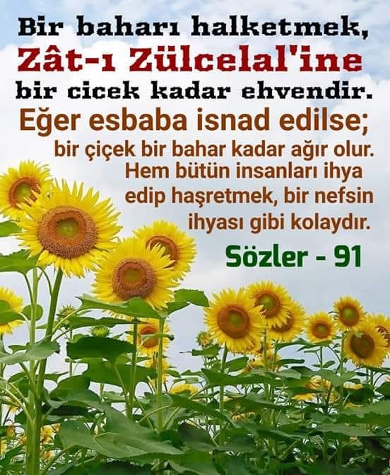 idalist06's tweet photo. https://t.co/cLBvfxWp9b