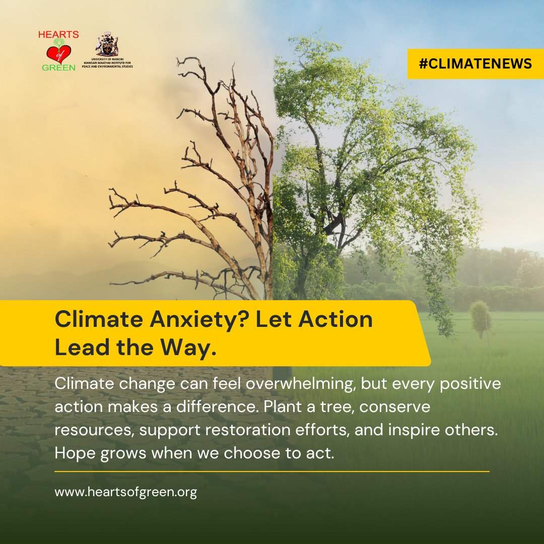 HeartsOfGreen's tweet photo. Feeling worried about climate change is natural, but we can't let that worry become hopelessness. Every positive action, no matter how small, contributes to a healthier planet.

Plant a tree. Reduce waste. Support sustainable businesses. Restore local ecosystems. Inspire others https://t.co/16lEAcz7sY