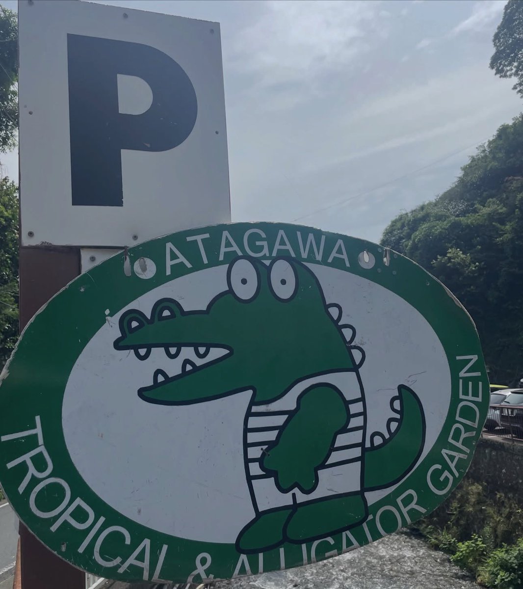 tan2001_yu's tweet photo. ワニ🐊
居たぁ‼️
#熱川バナナワニ園 
#ワニ🐊 https://t.co/E9evyozkVl