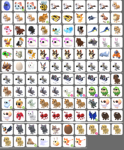 mae18th's tweet photo. trading for upgrades! (multiple pets for 1-2)
can look at inventories!

lf cute pets/upgrades
nlf random mega/neons 

+ taking rbx (x30+tax) for the pets in 2nd pic ONLY! https://t.co/7nkm40tqAP