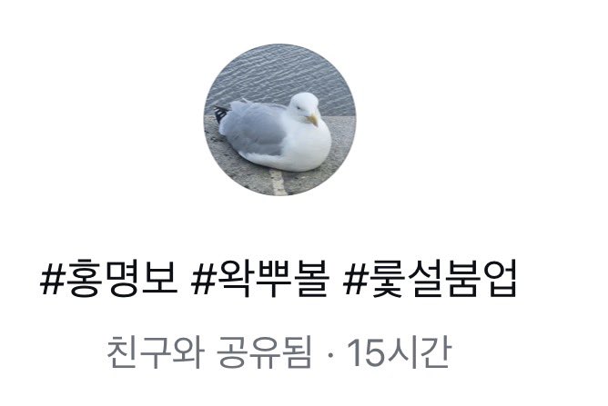 리비 tweet media