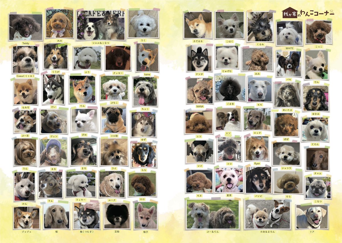 gekkan_wanko's tweet photo. 【募集】ワンちゃんの写真を大募集します！🐕📸月刊わんこvol.34（9月15日発売）我が家のわんこコーナーに掲載させて頂きます！📖✨ ※前回応募された方もご応募可能です。違う写真をお送りください🐶

──────────────

【応募方法】
① @gekkan_wanko をフォロー
② この投稿をRP（RT）＆いいね
③ 愛犬のお名前を添えて、
お写真をリプライしてください🐶

──────────────

【募集期間】
2026年7月25日（土）23:59まで

──────────────

【注意事項】
・なるべく全て掲載予定ですが、
応募多数の場合は抽選となります
・高画質で明るいお写真をお願いします
・画質によっては掲載を見送らせていただく場合がございます
・ご応募は1頭につき1枚までとなります

──────────────

次号（8/15発売）掲載予定の当選ワンちゃん達はこちら（添付）🎊
発売をぜひお楽しみに！

※8/15発売号に掲載保証（ご予約）の方で、万が一、掲載漏れがある場合は、大変お手数ですが、7/17（金）18時までに、ご連絡をお願いいたします→ gekkan.gr@gmail.com

#月刊わんこ
#我が家のわんこコーナー