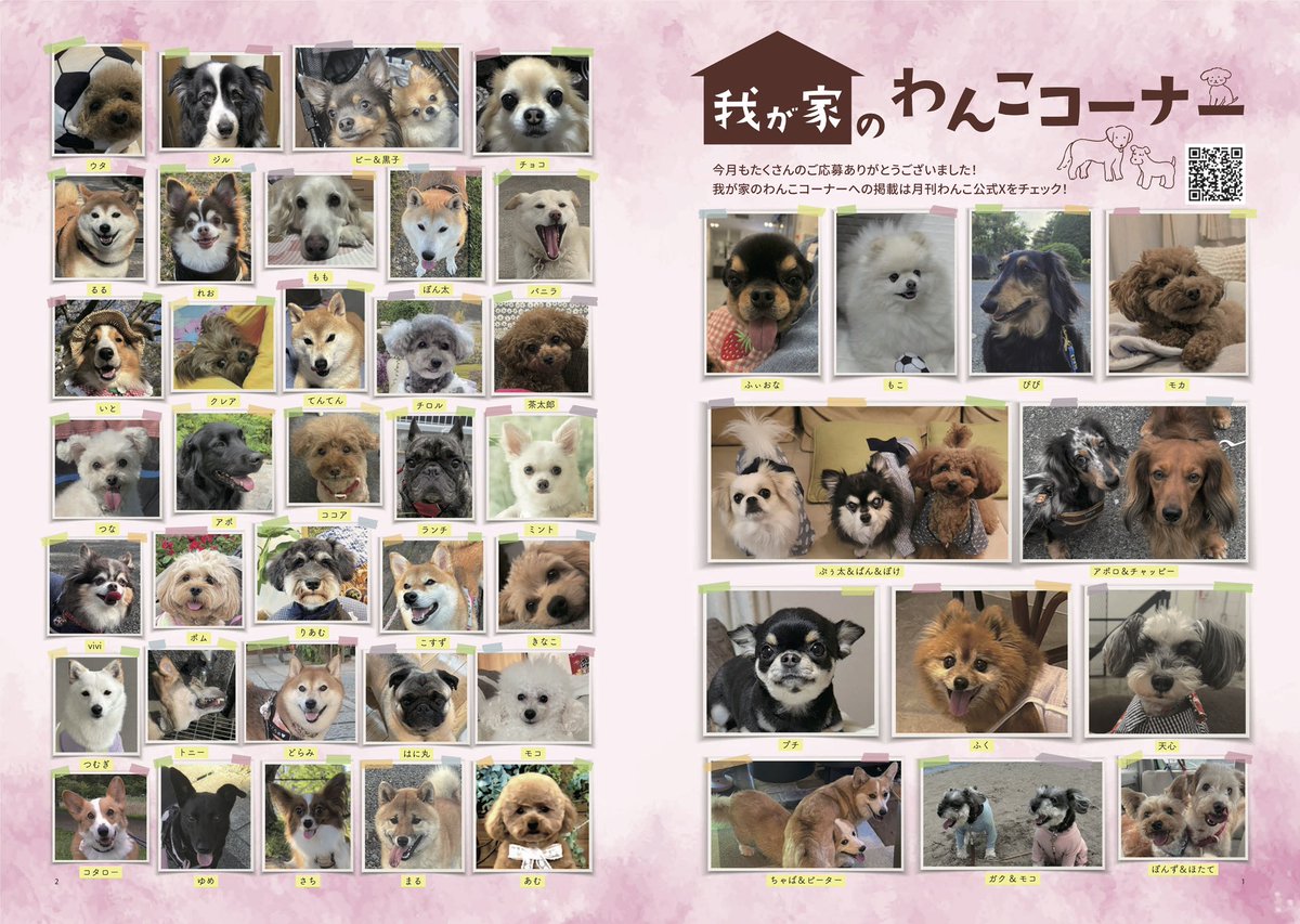 gekkan_wanko's tweet photo. 【募集】ワンちゃんの写真を大募集します！🐕📸月刊わんこvol.34（9月15日発売）我が家のわんこコーナーに掲載させて頂きます！📖✨ ※前回応募された方もご応募可能です。違う写真をお送りください🐶

──────────────

【応募方法】
① @gekkan_wanko をフォロー
② この投稿をRP（RT）＆いいね
③ 愛犬のお名前を添えて、
お写真をリプライしてください🐶

──────────────

【募集期間】
2026年7月25日（土）23:59まで

──────────────

【注意事項】
・なるべく全て掲載予定ですが、
応募多数の場合は抽選となります
・高画質で明るいお写真をお願いします
・画質によっては掲載を見送らせていただく場合がございます
・ご応募は1頭につき1枚までとなります

──────────────

次号（8/15発売）掲載予定の当選ワンちゃん達はこちら（添付）🎊
発売をぜひお楽しみに！

※8/15発売号に掲載保証（ご予約）の方で、万が一、掲載漏れがある場合は、大変お手数ですが、7/17（金）18時までに、ご連絡をお願いいたします→ gekkan.gr@gmail.com

#月刊わんこ
#我が家のわんこコーナー