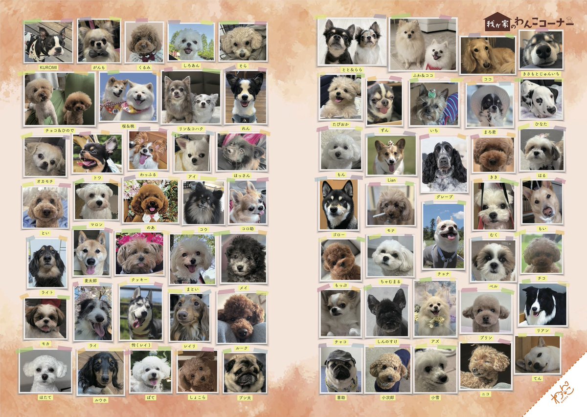 gekkan_wanko's tweet photo. 【募集】ワンちゃんの写真を大募集します！🐕📸月刊わんこvol.34（9月15日発売）我が家のわんこコーナーに掲載させて頂きます！📖✨ ※前回応募された方もご応募可能です。違う写真をお送りください🐶

──────────────

【応募方法】
① @gekkan_wanko をフォロー
② この投稿をRP（RT）＆いいね
③ 愛犬のお名前を添えて、
お写真をリプライしてください🐶

──────────────

【募集期間】
2026年7月25日（土）23:59まで

──────────────

【注意事項】
・なるべく全て掲載予定ですが、
応募多数の場合は抽選となります
・高画質で明るいお写真をお願いします
・画質によっては掲載を見送らせていただく場合がございます
・ご応募は1頭につき1枚までとなります

──────────────

次号（8/15発売）掲載予定の当選ワンちゃん達はこちら（添付）🎊
発売をぜひお楽しみに！

※8/15発売号に掲載保証（ご予約）の方で、万が一、掲載漏れがある場合は、大変お手数ですが、7/17（金）18時までに、ご連絡をお願いいたします→ gekkan.gr@gmail.com

#月刊わんこ
#我が家のわんこコーナー