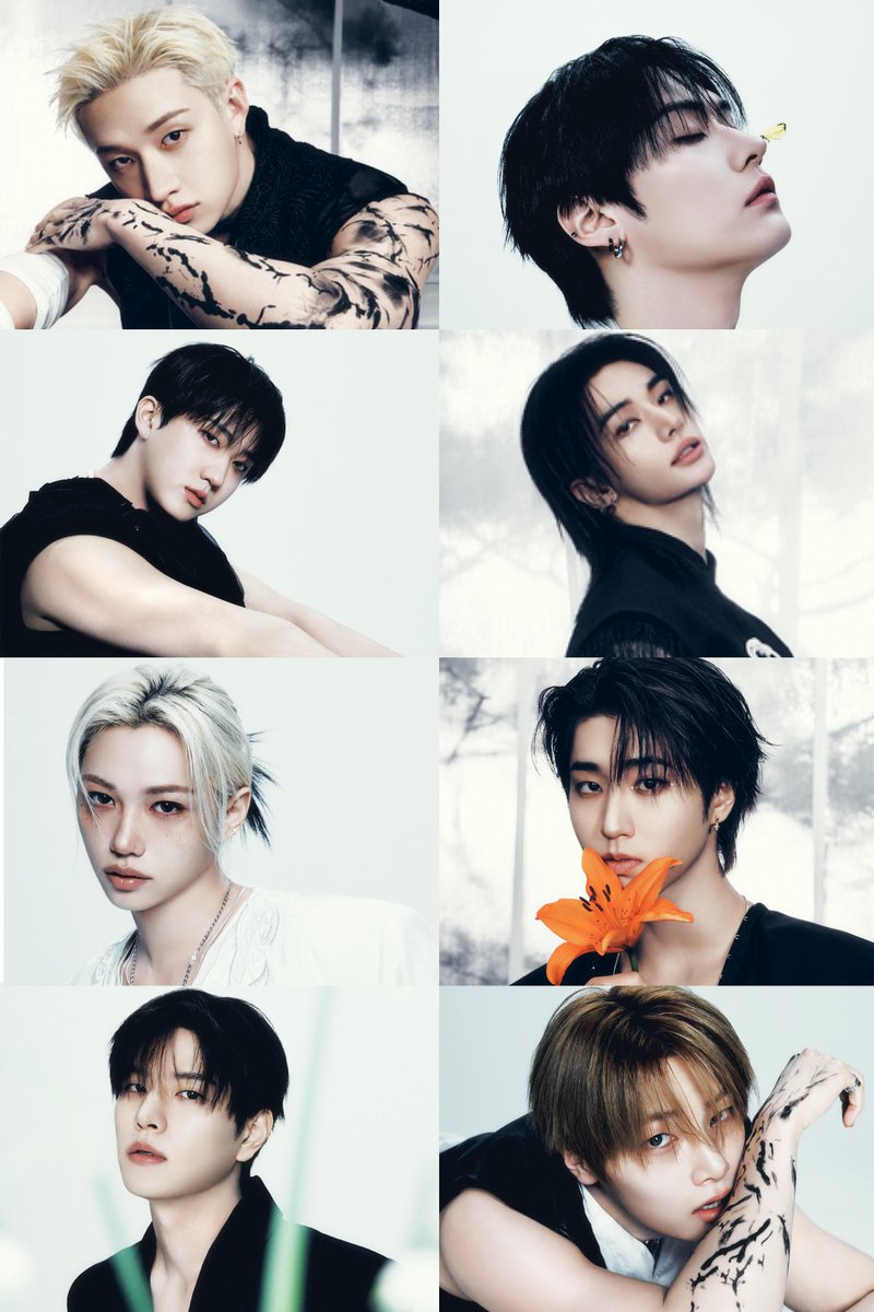 shoyoskz's tweet photo. check shirt comes w units photcardssssss
chan + lee know
hyunjin + ¿?
prob changbin + ¿?
i.n + ¿? https://t.co/9PDLJ46xbI
