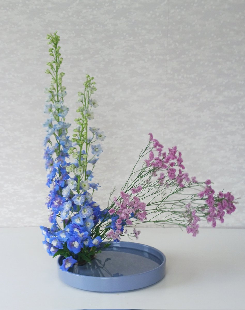 kazuko8246's tweet photo. 今日のお稽古

デルフィニウム
サマーチェリー
器　円水盤
#花芸安達流 https://t.co/PktGQVf9pd