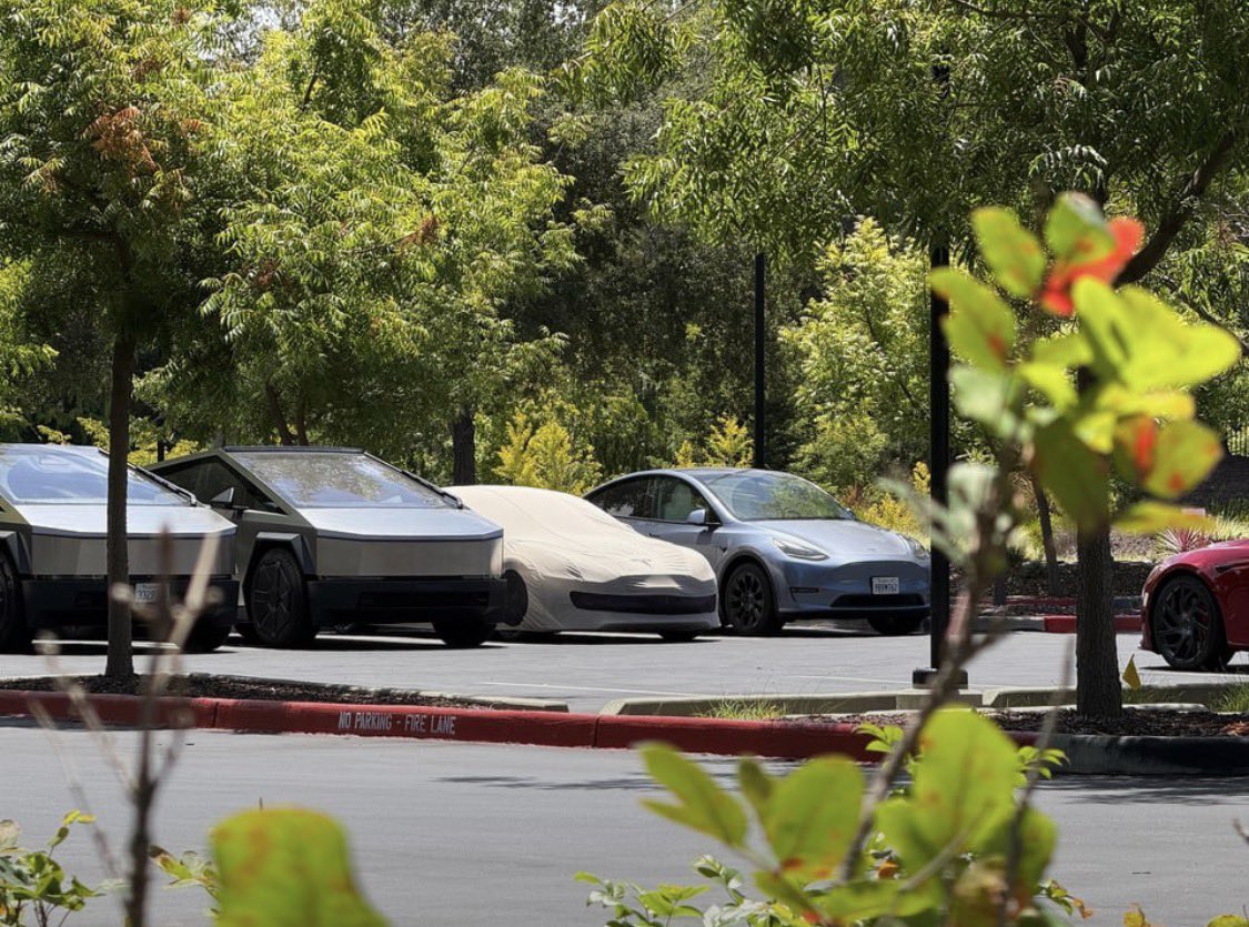 The Tesla Newswire tweet media