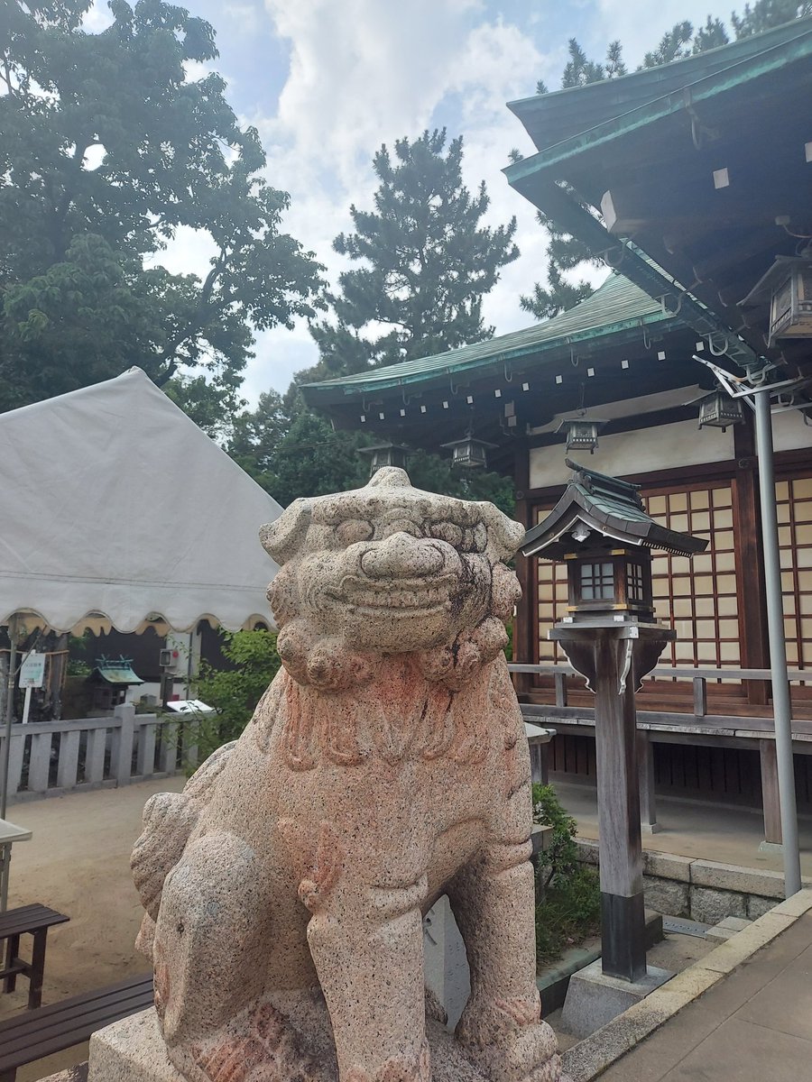 kokutoan's tweet photo. 神社狛犬ぶらり旅
かわいい https://t.co/ZLak4mo2oW