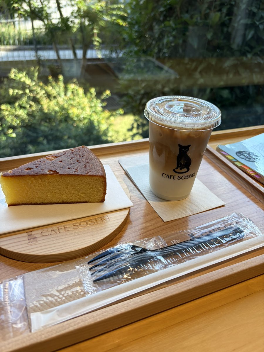 ichihara_nanami's tweet photo. 回向ちゃん(@_ecokun )とカフェの隅っこで台本練習しました😌🫶
その甲斐あってとってもいいシーンに仕上がりそうです✨

会場でも、配信でも是非是非！仲良しなシーンを見にきてください🥺

🎫⇩
https://t.co/LmVLqgrzwM https://t.co/iINLz043Ra