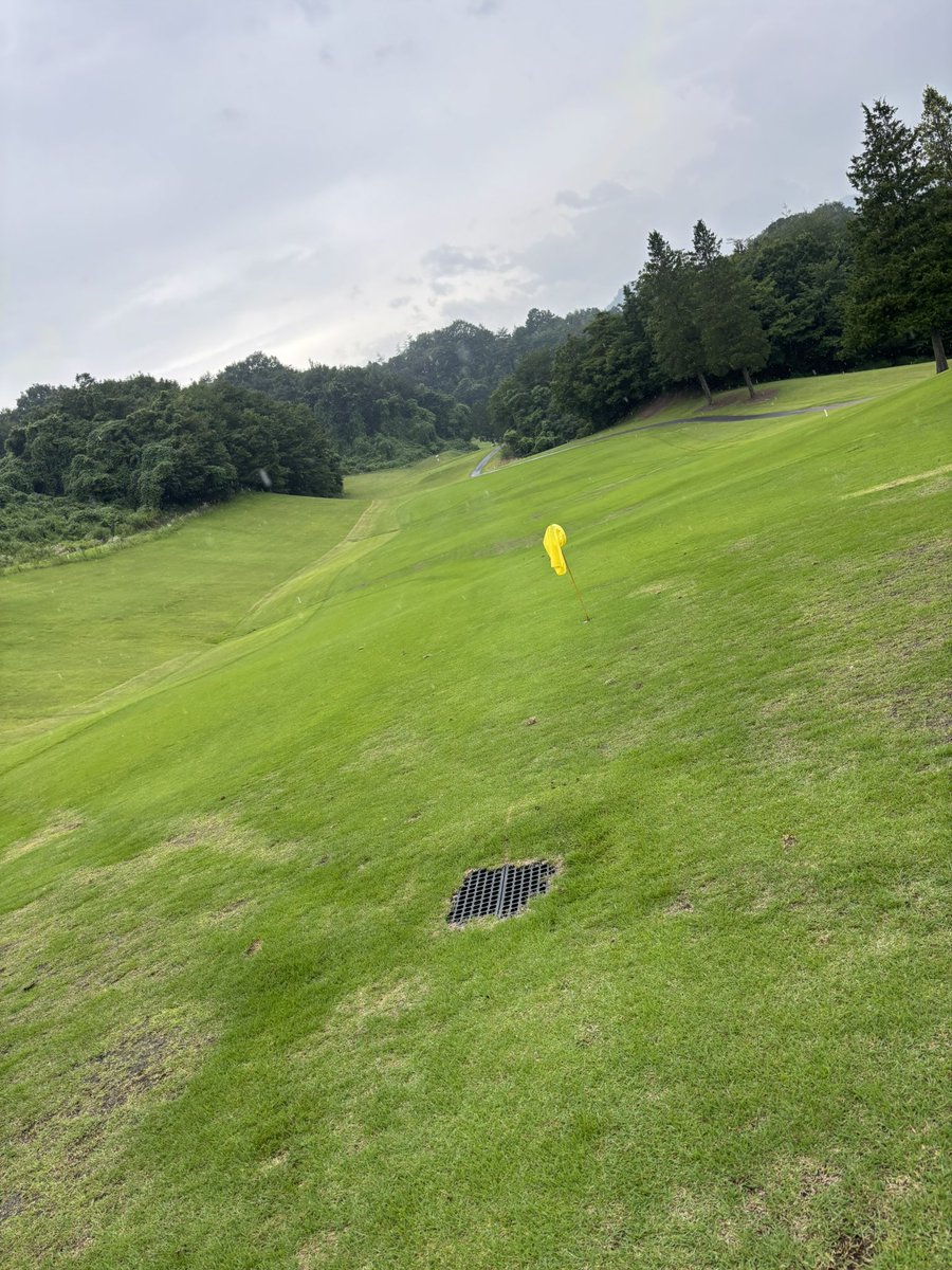 AVERAGE_uta's tweet photo. ちょい雨の中のゴルフ楽しかった〜(◍˃ ᵕ ˂◍)✨✨
スコアは119でした😇
一応新記録更新ってことで！
次の目標は115！！
来月もあるから練習頑張る！！

#ゴルフ https://t.co/D7aNrNYEa5