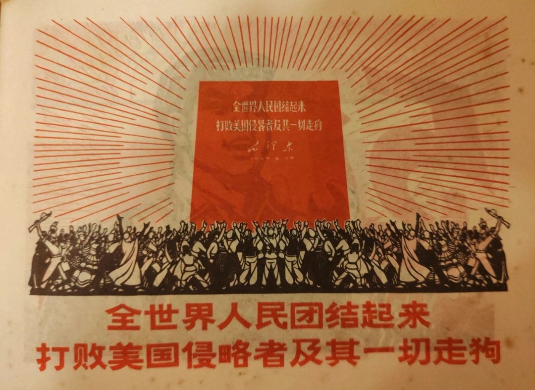 广阔天地新苗壮🇨🇳 tweet media