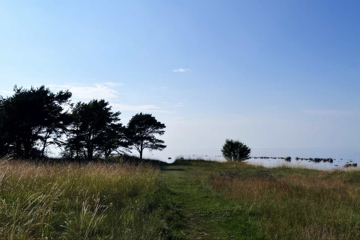 larkivaren's tweet photo. the sea always calms my mind https://t.co/iBP0cdLC0O
