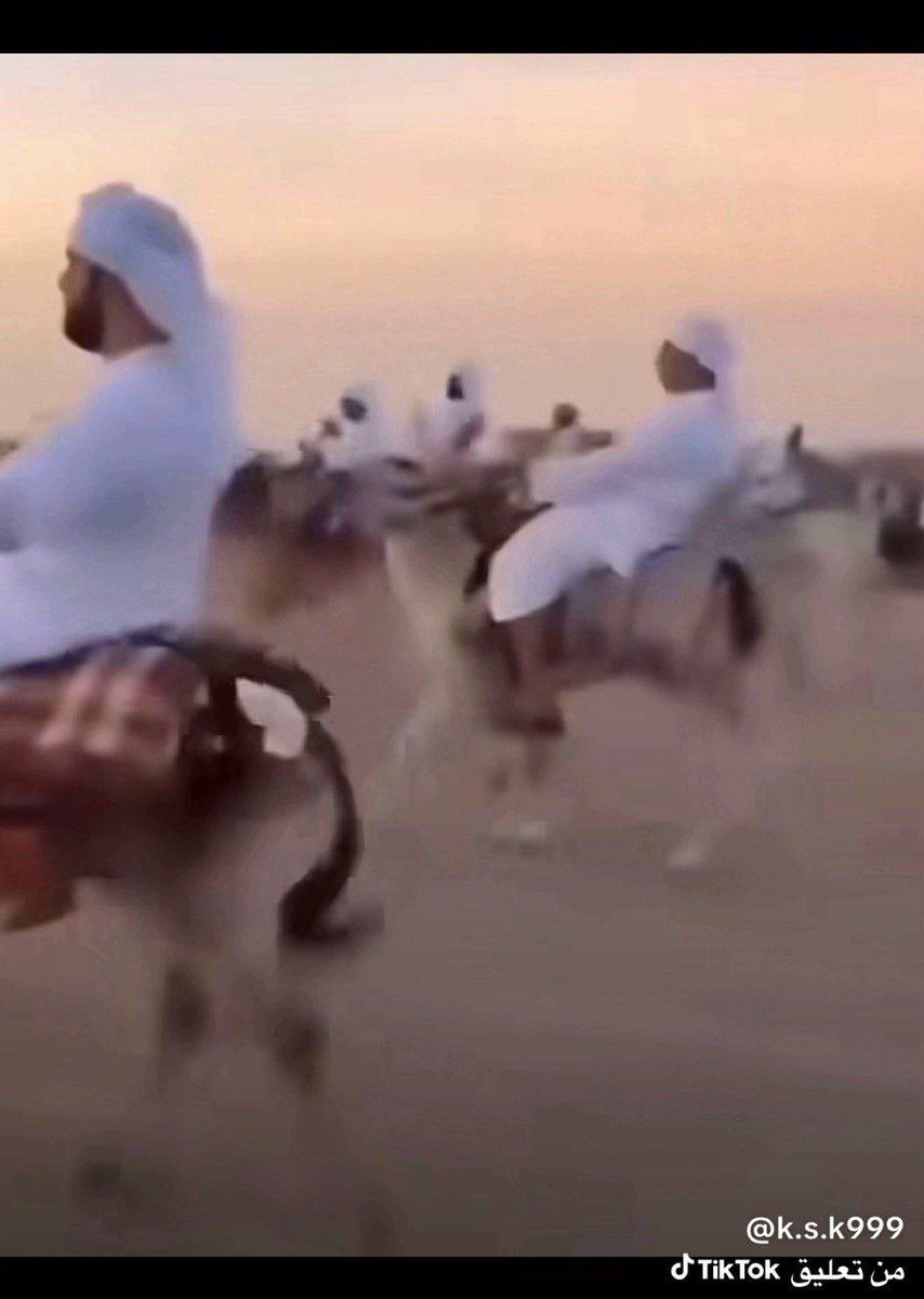gmcanddbab's tweet photo. @uAE_s11 @Jrb35r5 نيحن فرسان مركبنا الحمير 🤣🤣 يا اخي قسم بالله يضحكون https://t.co/HP5Dv8yCDF