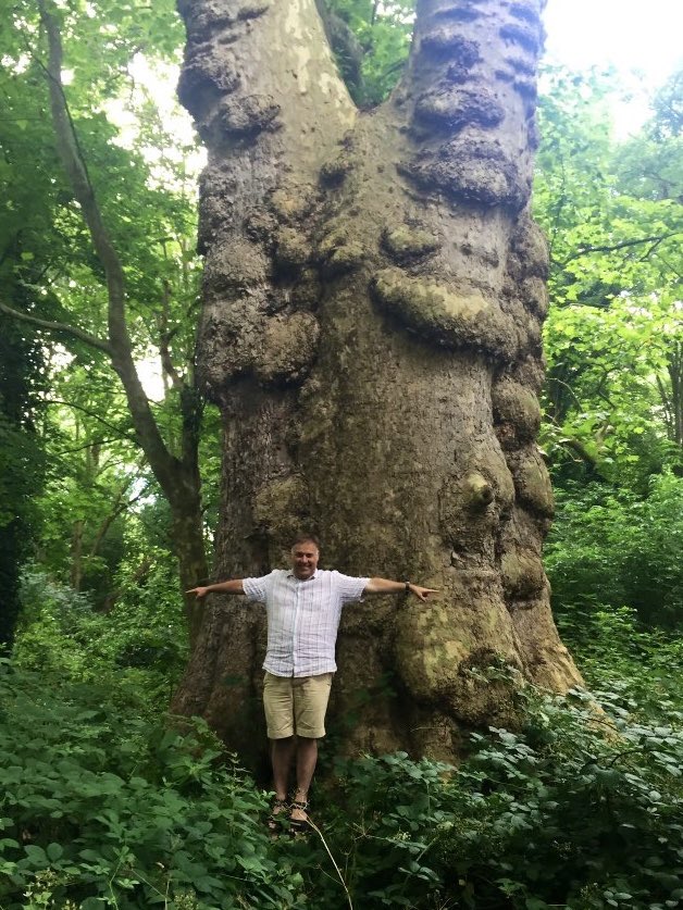 TiCLme's tweet photo. So here’s the thing …

Plane trees are a hybrid, only discovered in the 1600’s
They’ve been planted throughout the UK since then

They’re huge already, and this, the FIRST here, is still thriving  #GTOB 🏆🌴🇬🇧 …

so NOBODY knows how tall, fat and old they’ll get here 😳 https://t.co/yDUnzNs3PU