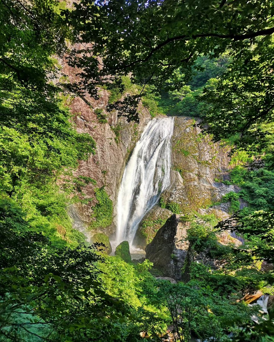 tibet_in's tweet photo. 村上市の鈴ヶ滝。もうずっと林道鈴川線が災害復旧工事の為、通行止めなんだけど一体いつ再開するのだろうか？あと工事しているのかも疑問で予算不足か何なのか分からないが放置状態の可能性もある。非合法で行ってる人もいるようだけど村上市は早く工事完了してほしいものだ。
#村上市
#鈴ヶ滝 https://t.co/iEvRed387P