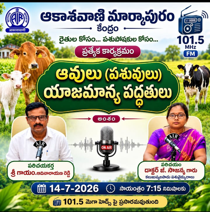 AIRMarkapuram's tweet photo. ఆకాశవాణి మార్కాపురం కేంద్రం
చూడి ఆవులు (పశువులు)యాజమాన్య పద్ధతులు ఈ అంశం గురించి కలుజువ్వలపాడు పశువైద్యురాలు  డాక్టర్ జే.సౌజన్య గారితో పరిచయం, పరిచయకర్త :శ్రీ గాయం.ఆదినారాయణ రెడ్డి
D/B :14/07/2026 @ 7:15 Pm https://t.co/dUHQyK8fOa