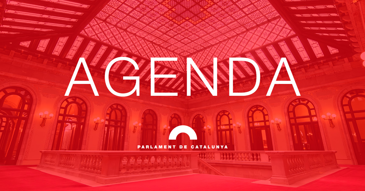 parlamentcat's tweet photo. 🗓️ Consulta aquí l'agenda parlamentària d'aquesta setmana: https://t.co/laAyP9Ge9d

🕘A les 9 h comença la Setmana del Parlament Universitari, que inaugura el president del Parlament, @joseprull.

🎥Emissions en directe: https://t.co/EPXlGW1aSI https://t.co/o24h8VbPtL