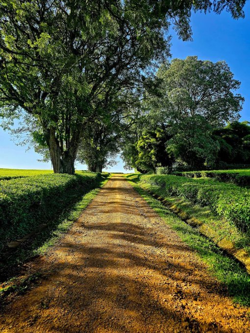 olwenydon_1's tweet photo. May this week bring fresh opportunities, renewed strength, and countless reasons to smile. Leave behind yesterday's worries and step into today with faith, courage, and determination. https://t.co/xGmyF6I4Og