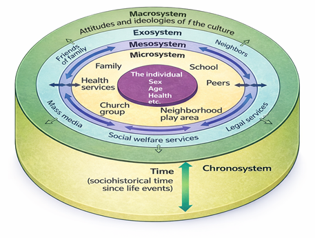 JINeuroscience's tweet photo. π§ Lab tests miss how kids use executive functions daily. New review argues for ecological over standardized tools for children.
@RennesUniv_EN
β
π: https://t.co/SSN6vsyOBP
#ExecutiveFunction #ChildDevelopment #Neuropsychology https://t.co/RiI2SO5Noh